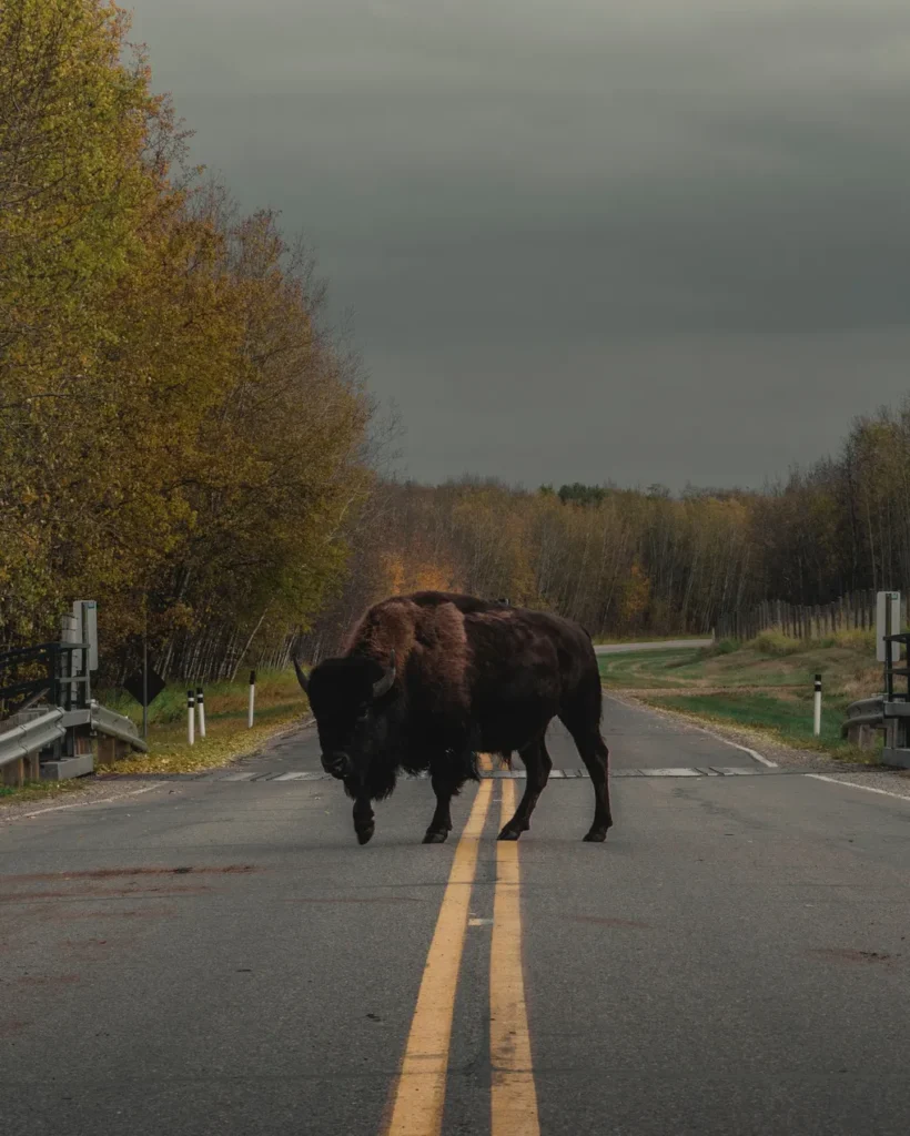 Escaping Moderate Success - Part 7