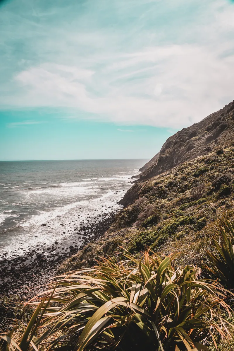 Of course, understand what your differentiators are relative to your competitors.