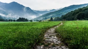 The Uncluttered Mind - Part 4