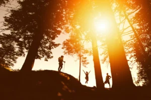 YOUR NEXT CAREER SUCCESS