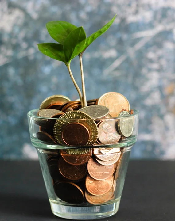 Immeasurable Return on Investment